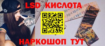 стаф Владимир